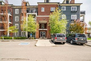 Main Photo: 2209 279 Copperpond Common SE in Calgary: Copperfield Apartment for sale : MLS®# A2134559