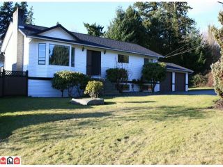 Photo 1: 34394 FRASER Street in Abbotsford: Central Abbotsford House for sale : MLS®# F1200696