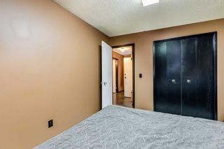 Photo 21: 221 Theodore Place NW in Calgary: Thorncliffe Semi Detached (Half Duplex) for sale : MLS®# A2104167