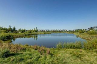 Photo 39: 292 Sunset View: Cochrane Detached for sale : MLS®# A2077295