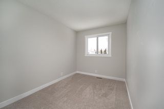 Photo 17: 30 Castleglen Road NE in Calgary: Castleridge Semi Detached (Half Duplex) for sale : MLS®# A2008737