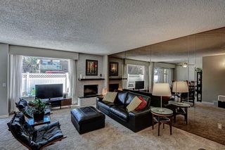 Photo 5: 5 228 Theodore Place NW in Calgary: Thorncliffe Row/Townhouse for sale : MLS®# A2073785