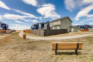 Photo 42: 1400 Price Road: Carstairs Detached for sale : MLS®# A2125755