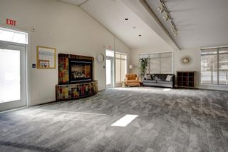 Photo 28: 305 8 Hemlock Crescent SW in Calgary: Spruce Cliff Apartment for sale : MLS®# A1228031