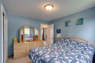 Photo 13: 48 Spring Haven Close SE: Airdrie Detached for sale : MLS®# A1131621