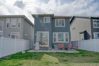 Photo 46: 205 EVANSGLEN Drive NW in Calgary: Evanston Detached for sale : MLS®# A1219480