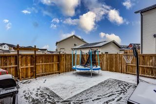 Photo 22: 1210 Kings Heights Way SE: Airdrie Semi Detached for sale : MLS®# A1204187