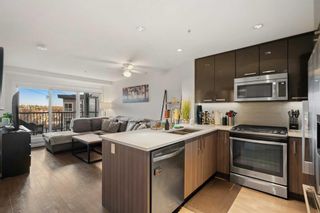 Photo 10: 315 510 Edmonton Trail NE in Calgary: Bridgeland/Riverside Apartment for sale : MLS®# A2122426