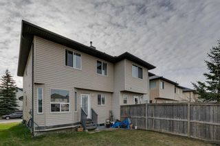 Photo 27: 49 Tarington Landing NE in Calgary: Taradale Semi Detached (Half Duplex) for sale : MLS®# A2119745