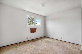 Photo 26: 339 Whitefield Drive NE in Calgary: Whitehorn Detached for sale : MLS®# A2083830
