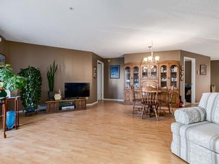 Photo 13: 2215 6224 17 Avenue SE in Calgary: Red Carpet Apartment for sale : MLS®# A1056311