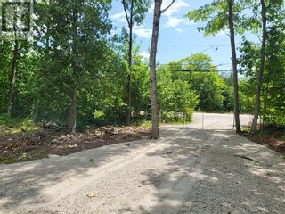 Photo 5: N/A Hwy 542 in Mindemoya: Vacant Land for sale : MLS®# 2112282