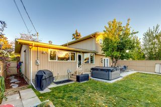 Photo 42: 239 Parkside Way SE in Calgary: Parkland Detached for sale : MLS®# A2013099