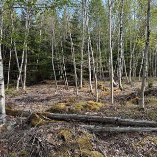 Photo 2: Lot 5 Raspberry Court in Italy Cross: 405-Lunenburg County Vacant Land for sale (South Shore)  : MLS®# 202309674