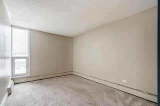 Photo 19: 203 323 13 Avenue SW in Calgary: Beltline Apartment for sale : MLS®# A2027522