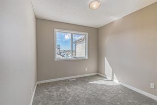 Photo 33: 80 Skyview Point Crescent NE in Calgary: Skyview Ranch Detached for sale : MLS®# A2041402