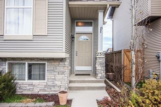 Photo 4: 259 CRANBERRY Place SE in Calgary: Cranston Detached for sale : MLS®# C4214402