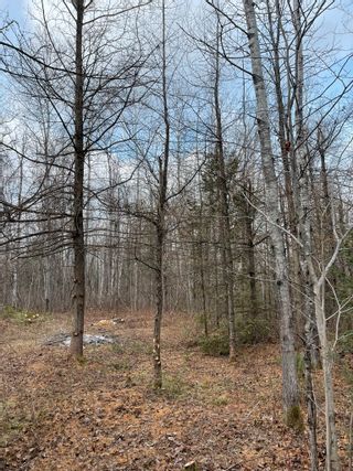 Photo 4: 2819 Cowell  Road: North Gower Vacant Land for sale (Ottawa)  : MLS®# 1369947
