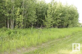 Photo 7: 50208 RR 204: Rural Beaver County Rural Land/Vacant Lot for sale : MLS®# E4305162
