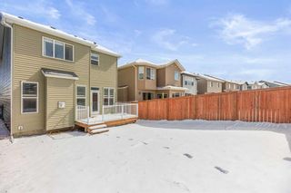 Photo 36: 67 Nolancrest Rise NW in Calgary: Nolan Hill Detached for sale : MLS®# A2124134