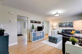 Photo 3: 4669 20th Street SW in Calgary: Garrison Woods Semi Detached (Half Duplex) for sale : MLS®# A2010448