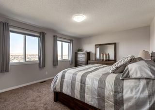 Photo 23: 131 Hillcrest Heights SW: Airdrie Detached for sale : MLS®# A1258882