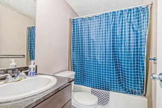 Photo 28: 303 7180 80 Avenue NE in Calgary: Saddle Ridge Apartment for sale : MLS®# A2023419