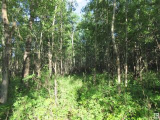 Photo 9: RR 223 Twp Rd 612: Rural Thorhild County Vacant Lot/Land for sale : MLS®# E4318874