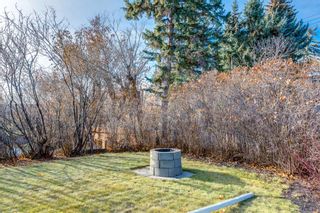 Photo 50: 1221 17A Street NW in Calgary: Hounsfield Heights/Briar Hill Detached for sale : MLS®# A2090503