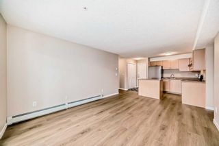Photo 17: 209 1717 60 Street SE in Calgary: Red Carpet Apartment for sale : MLS®# A2133379
