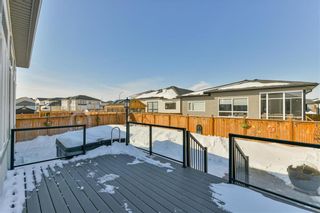 Photo 38: 11 Munnion Road in Winnipeg: Charleswood Residential for sale (1H)  : MLS®# 202304944