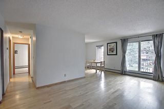 Photo 4: 301 1113 37 Street SW in Calgary: Rosscarrock Apartment for sale : MLS®# A1139650