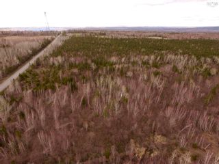 Photo 9: 67 acres Hardwood Hill Road in Hardwood Hill: 108-Rural Pictou County Vacant Land for sale (Northern Region)  : MLS®# 202308537
