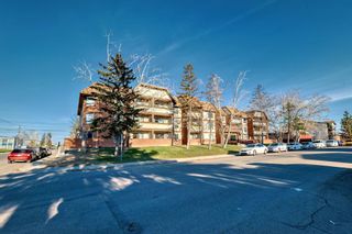 Photo 26: 305 1712 38 Street SE in Calgary: Forest Lawn Apartment for sale : MLS®# A2124805