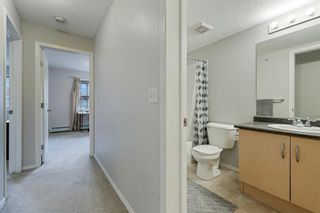 Photo 16: 4303 16969 24 Street SW in Calgary: Bridlewood Apartment for sale : MLS®# A1214343