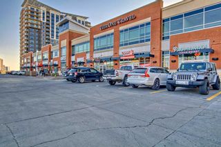 Photo 40: 1217 8880 Horton Road SW in Calgary: Haysboro Apartment for sale : MLS®# A2081789