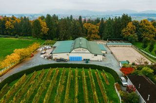Photo 1: 5290 OLUND Road in Abbotsford: Bradner Agri-Business for sale in "Winery and Estate House" : MLS®# C8048539