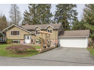 Photo 2: 12387 MOODY Street in Maple Ridge: West Central House for sale : MLS®# R2258400