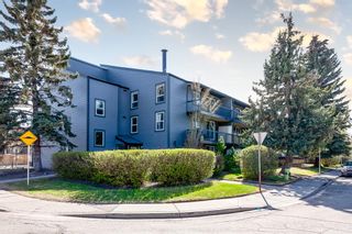 Main Photo: 310 1301 17 Avenue NW in Calgary: Capitol Hill Apartment for sale : MLS®# A2048005