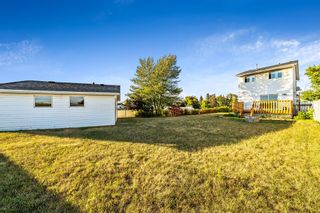 Photo 7: 55 Erin Road SE in Calgary: Erin Woods Detached for sale : MLS®# A2002318
