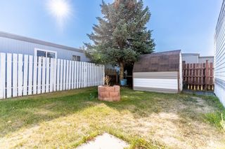 Photo 16: 249 3223 83 Street NW in Calgary: Greenwood/Greenbriar Mobile for sale : MLS®# A2007299