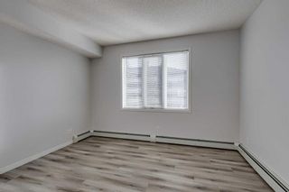 Photo 12: 302 1727 54 Street SE in Calgary: Penbrooke Meadows Apartment for sale : MLS®# A2097125