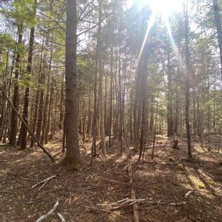 Photo 6: Lot 9 Old Trunk Highway 3 in Hebbs Cross: 405-Lunenburg County Vacant Land for sale (South Shore)  : MLS®# 202400895