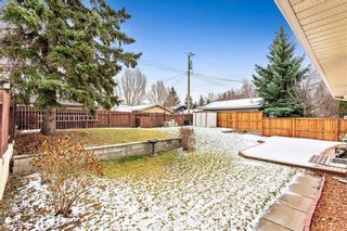 Photo 12: 7104 SILVERVIEW Road NW in Calgary: Silver Springs Detached for sale : MLS®# C4275510