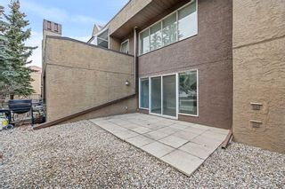 Photo 14: 7 216 Village Terrace SW in Calgary: Patterson Apartment for sale : MLS®# A2129001