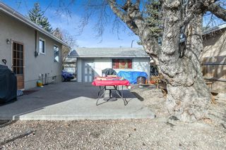 Photo 21: 1613 Olympia Drive SE in Calgary: Ogden Detached for sale : MLS®# A1200625