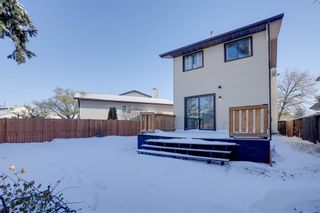 Photo 8: 59 whitehaven Road NE in Calgary: Whitehorn Detached for sale : MLS®# A2010475