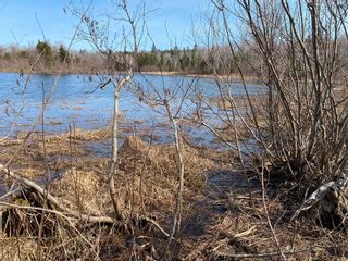 Photo 6: Lot 20 Lakeside Drive in Little Harbour: 108-Rural Pictou County Vacant Land for sale (Northern Region)  : MLS®# 202304930