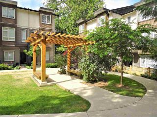 Photo 18: 116 5888 144 Street in Surrey: Sullivan Station Townhouse for sale : MLS®# R2189479