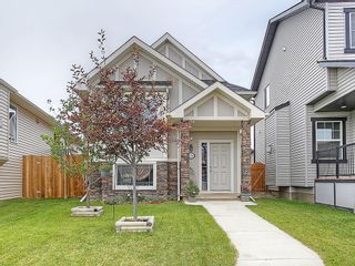 Photo 36: 1188 KINGS HEIGHTS Road SE: Airdrie House for sale : MLS®# C4125502